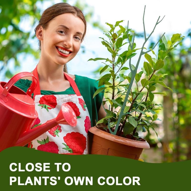 ๐๐๐ฟGroen tuinieren Plantsteunframe