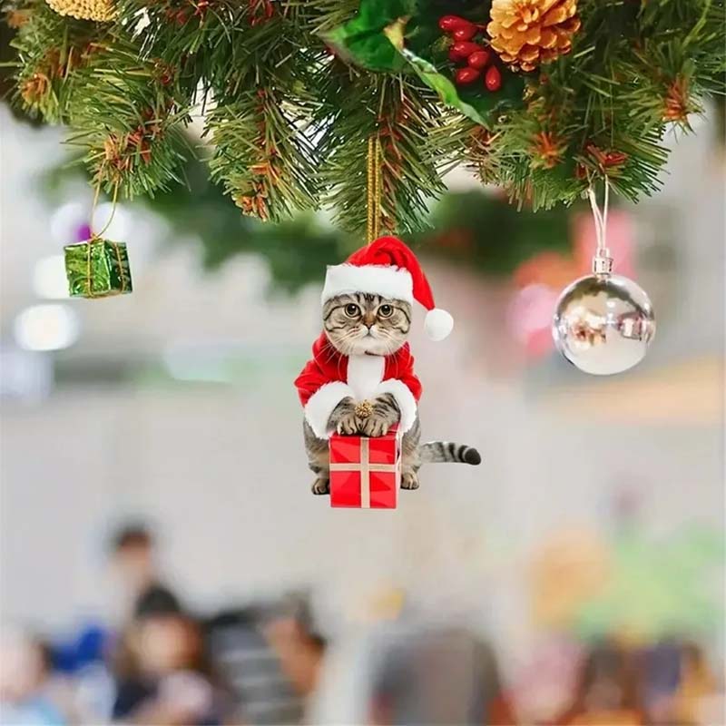 🐱Kat Hangertje Kerst Afstelling Verrassingsdoos – 24 Dagen van Snorrende Verwondering