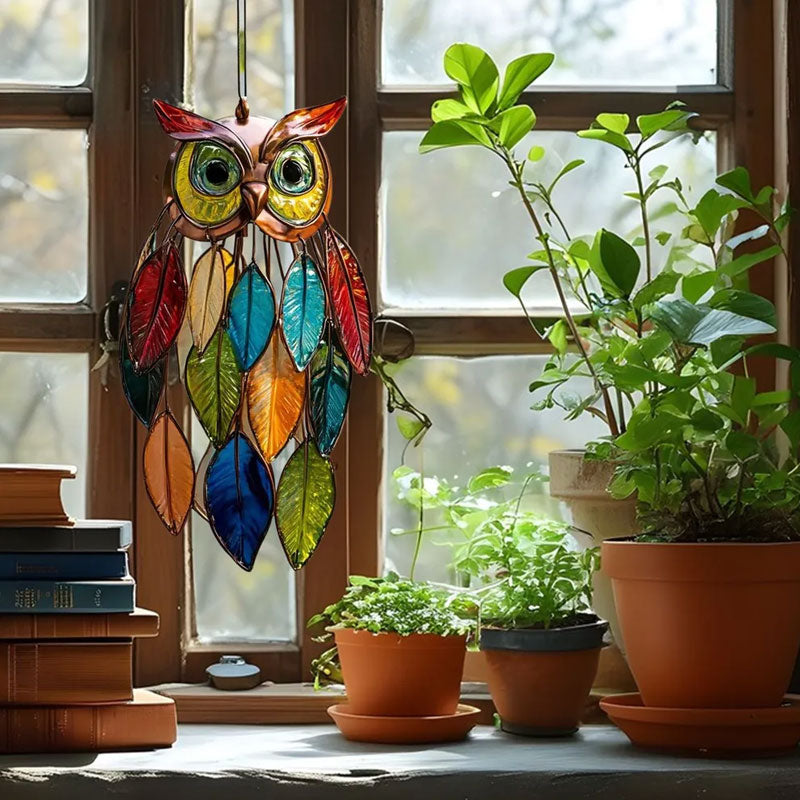 🌟 Kleurrijke uilendecoraties voor ramen en huizen 🦉