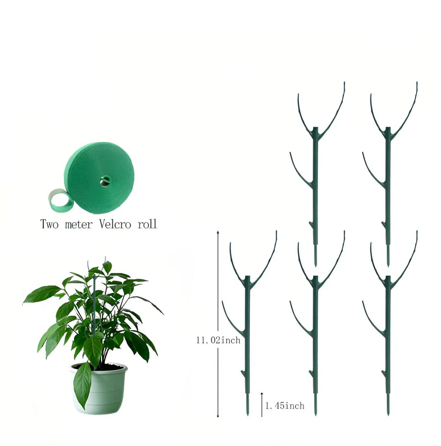 ๐๐๐ฟGroen tuinieren Plantsteunframe