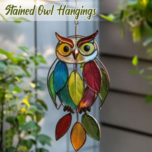 🌟  Kleurrijke uilendecoraties voor ramen en huizen 🦉