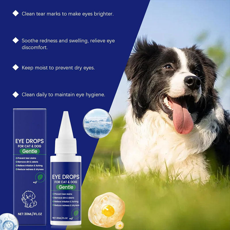 🐾 Verzorgende Oogdruppels voor Honden & Katten 💧