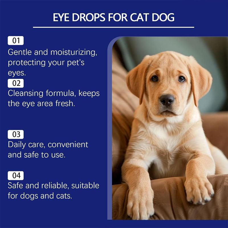 🐾 Verzorgende Oogdruppels voor Honden & Katten 💧