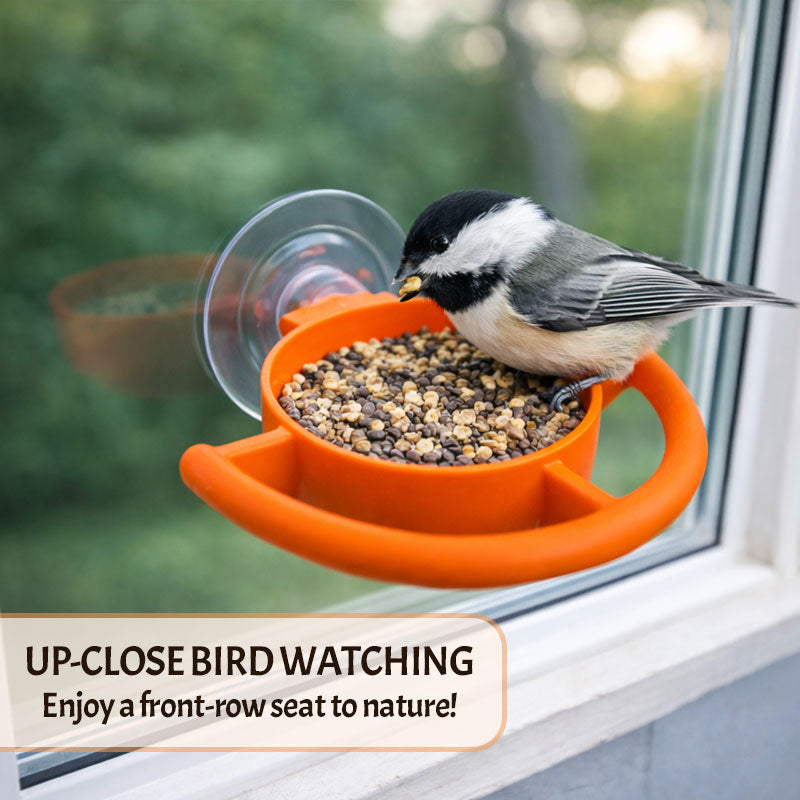🌷 Maak van je raam een vogelparadijs! ——🐦 Vogelvoederhuisje met zuignap