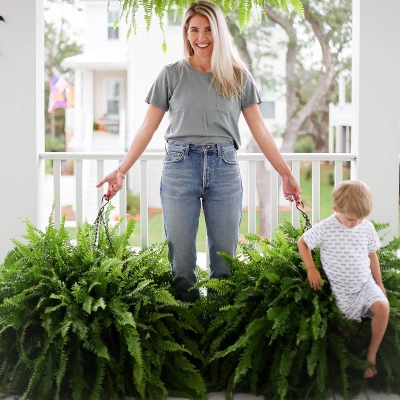 🌱 UV-bestendige realistische kunstmatige Bostonvaren